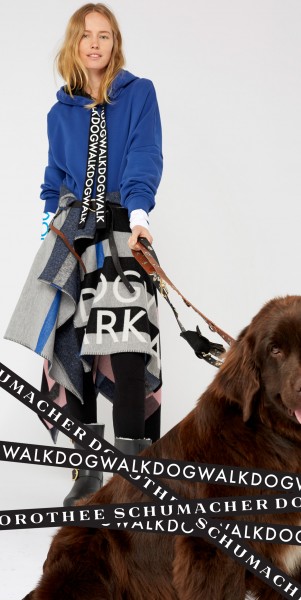 dogwalk_banner_skyscraper