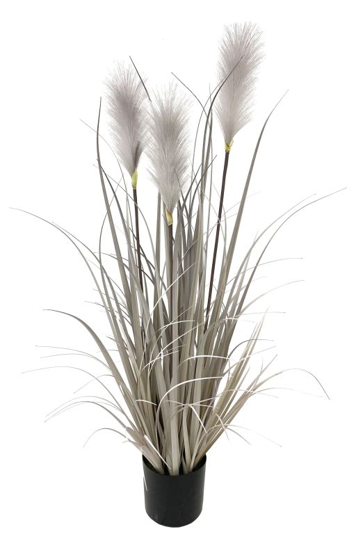 Dekopflanze Pampasgras grau 68 cm H